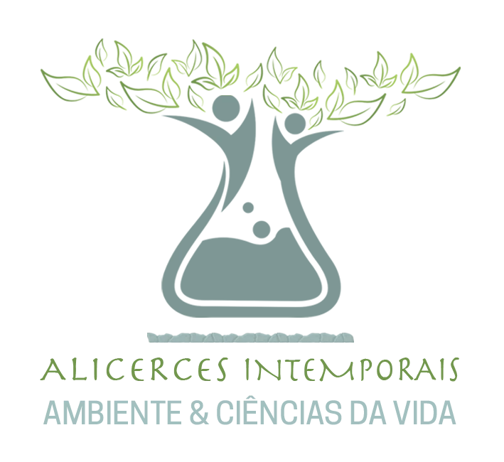 Alicerces Intemporais Ambiente